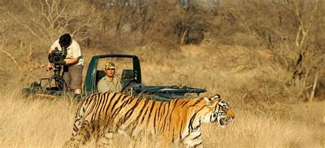 ranthambore in hindi|ranthambore national park managed by.